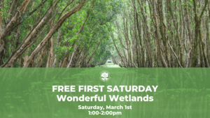 Free First Saturday – Wonderful Wetlands