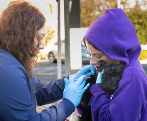 Joybound People & Pets: Free Vaccine and Microchip Clinic