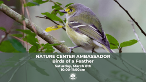 Nature Center Ambassador: Birds of a Feather!