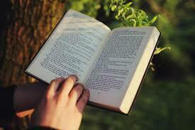 Afternoon Adult Book Club at Vineland Public Library