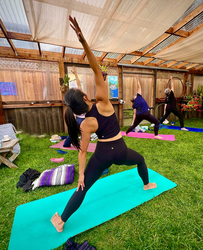 Yoga in the Greenhouse