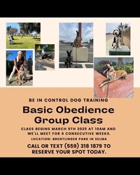 Basic Obedience Group Class |  Be In Control Dog Training