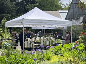 Pop-Up Plant Vendor Weekends