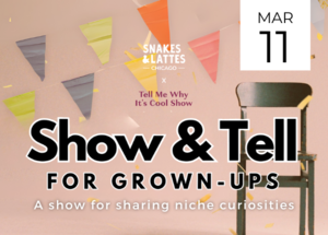 Show & Tell for Grown-Ups - Snakes & Lattes Chicago