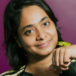 Science Spotlights: Late Night with Frogs