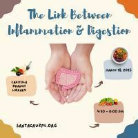 The Link Between Inflammation & Digestion