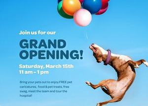 Livewell Animal Hospital of NoMa Grand Opening
