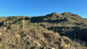 Sonoran Desert Geology Hike – Wild Burro Canyon