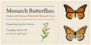 Monarch Butterflies: History and Science Behind the Monarch Craze