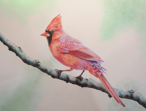 Alexa Chmura Artist Reception at the Riverside Town Hall