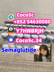 Semaglutide Powder CAS 910463-68-2 Suppliers 1