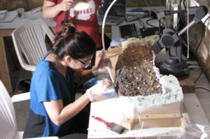 Lithic Artifacts and Fire: Relearning and Preserving Ancient Technological Knowledge