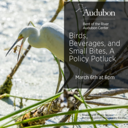 Birds, Beverages, and Small Bites: A Policy Potluck