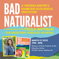 Bad Naturalist: A Conversation with Paula Whyman