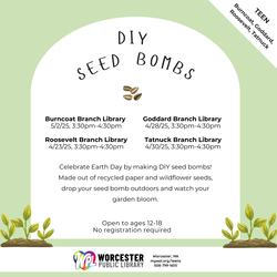 DIY Seed Bombs