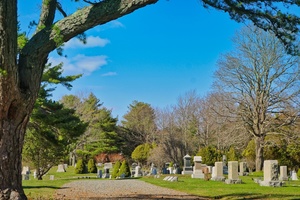 Castleton Cemetery Association Annual Meeting - March 20th