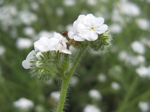 Nature Collective Hosts Wildlife Tour
