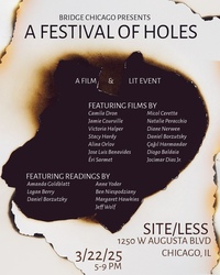 Bridge Chicago: A Festival of Holes (2025)