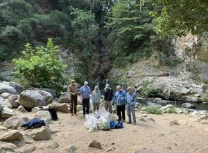 Fuel Reduction Workday - Henry Cowell Redwoods State Park