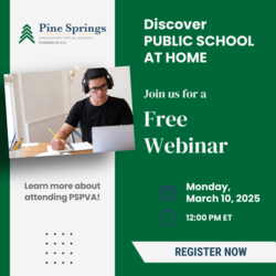 Discover Pine Springs Preparatory Virtual