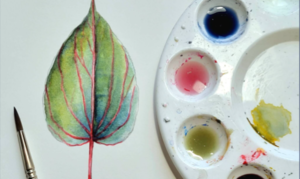 Botanical Watercolor