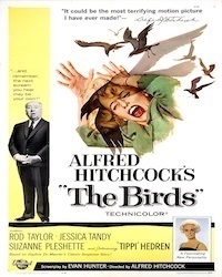 Hitchcock's THE BIRDS