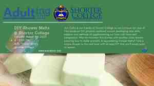 Adulting 101: DIY Shower Melts