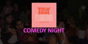 Tipsy Flamingo Comedy Night