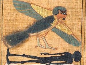 Profs & Pints San Francisco: A World History of Seeing the Beyond