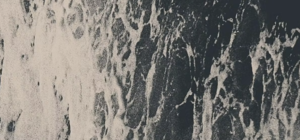 Sunday Supper at L'Ostrica: Surf & Turf