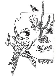 Tucson 2025 Spring Bird Fair