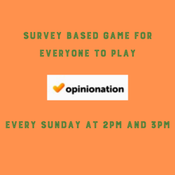 OpinioNation at Solace Brewing Co.