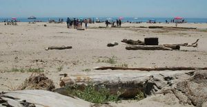 Community Planting Day at Rio del Mar State Beach