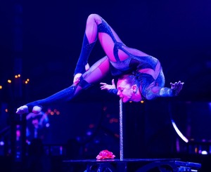 Teatro ZinZanni: Cirque. Comedy. Cuisine.