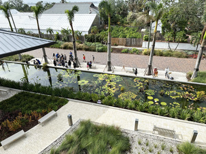 2025 Philip Hanson Hiss Award Annual Lecture Given by Honoree OLIN