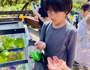 Bug Day at Randall Museum