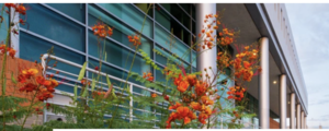 Eller College of Management Hosts 2025 Arizona Statewide Business School Case Competition MAR 20-21