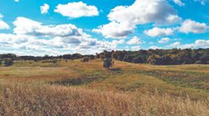The Expansion of Big Marine Park Reserve