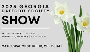 Georgia Daffodil Society Show