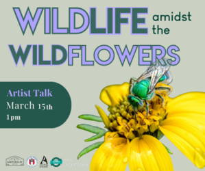 Wildlife Amidst the Wildflowers Artist Talk