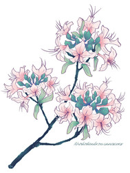 Spring Plant Sale Ag Day