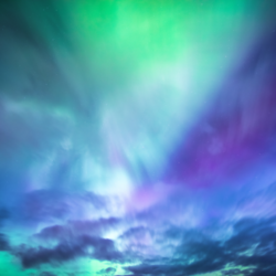 Bruce Beginnings Junior: Northern Lights