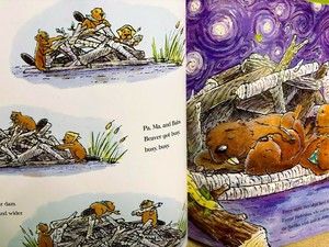 Nature Book and Look