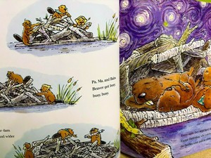 Nature Book and Look