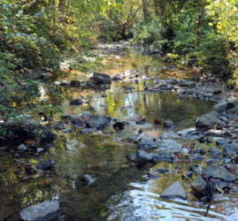 Community Science: NC Stream Watch