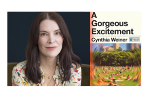 Cynthia Weiner - A Gorgeous Excitement: A Novel