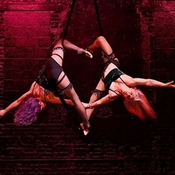 Razzvio: Salooniverse!