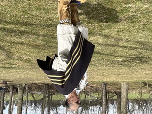 Native American Spring Celebration