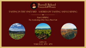 Tasting in the Vineyard