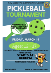 Pickleball Tournament